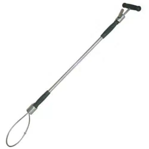 Cleste de nas